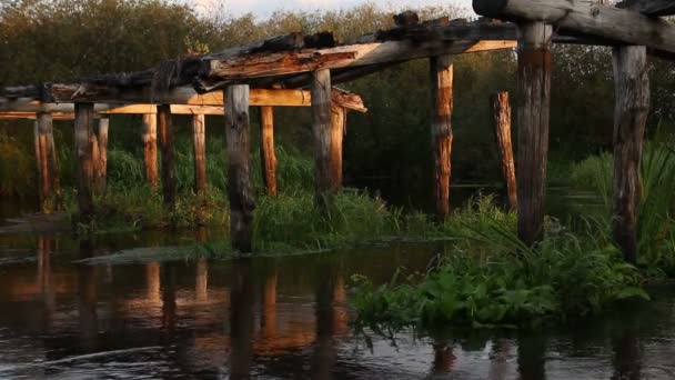 Oude verwoeste brug — Stockvideo