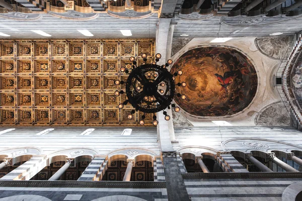 Copertura Duomo di Pisa — Foto de Stock