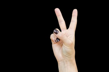 özgürlük hareketi