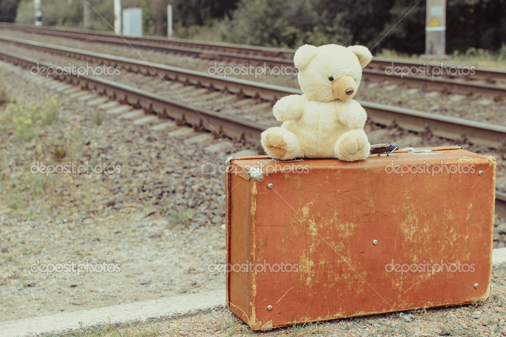 teddy bear with suitcase