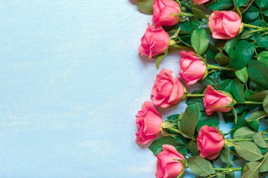 Pastel mavi arka planda pembe güllerin romantik buketi Bayram çiçekli kart, düğün, Sevgililer Günü, Anneler Günü, Öğretmenler Günü yaratıcı konsept Top view Flat.