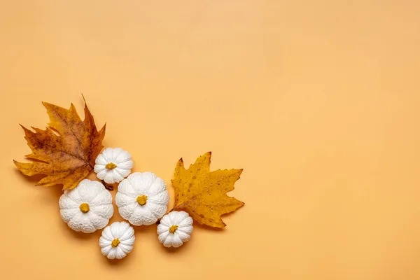 Orange Vit Pumpa Och Lönn Blad Isolerad Beige Bakgrund Ovanifrån — Stockfoto