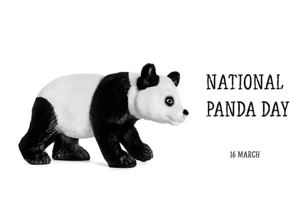 Giornata Nazionale Del Panda Marzo Celebrare Fluffiest Bambù Munching Orsi — Foto Stock