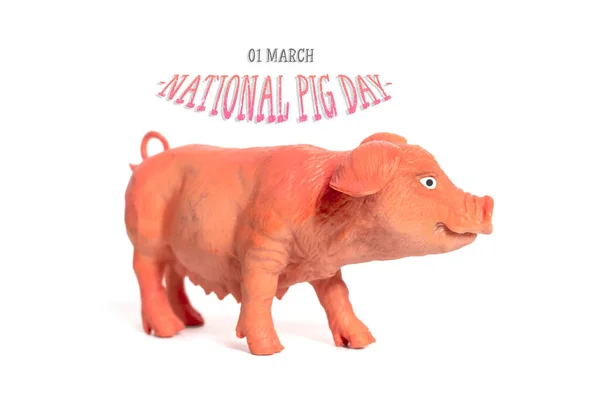 01 maart, Nationale Varkensdag, jaarlijks gevierd op 1 maart, is het perfecte moment om te vieren hoe varkens zijn uitgegroeid tot een deel van de Amerikaanse cultuur. Groet vakantiekaart — Stockfoto