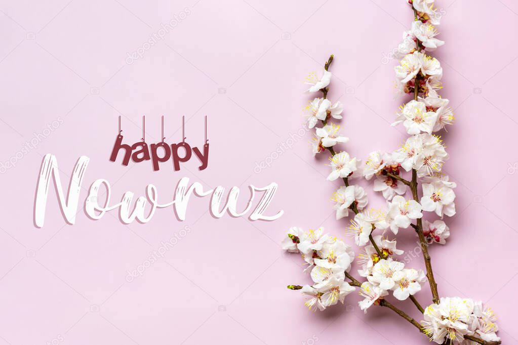 Sprigs of the apricot tree with flowers on pink background Text Happy Nowruz Holiday Concept of spring came Top view Flat lay Hello march, april, may, persian new year.