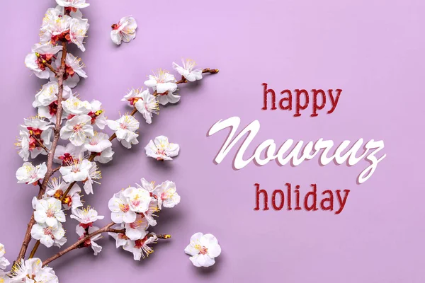 Kayısı ağacının tomurcukları pembe arka planda çiçekler Mutlu Nowruz Tatili Yazısı Üst Manzara geldi Merhaba, Nisan, Mayıs, İran Yeni Yılı.
