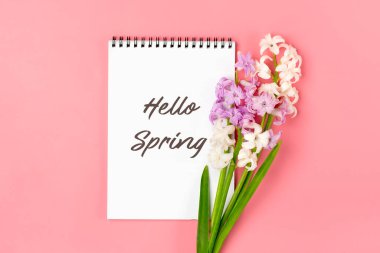 Bahar çiçeği demeti leylak sümbülleri, metin Merhaba bahar pembe arka planda Düz zemin üzerinde Merhaba bahar tatili kartı