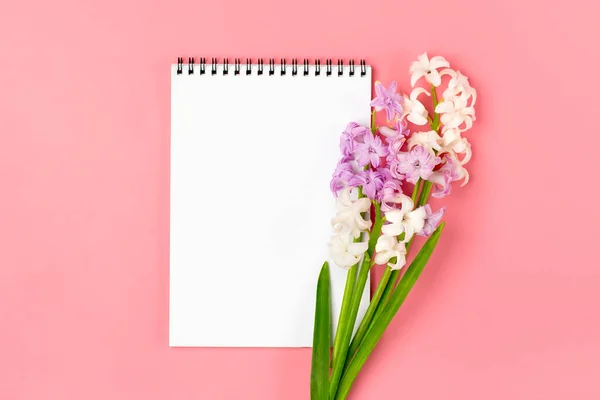 Bahar Çiçekleri Demeti Leylak Sümbüller Pembe Arka Planda Defteri Düz — Stok fotoğraf