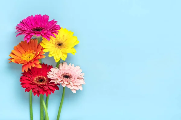 Boeket Gerbera Blauwe Achtergrond Topweergave Flat Lay Vakantie Wenskaart Happy — Stockfoto