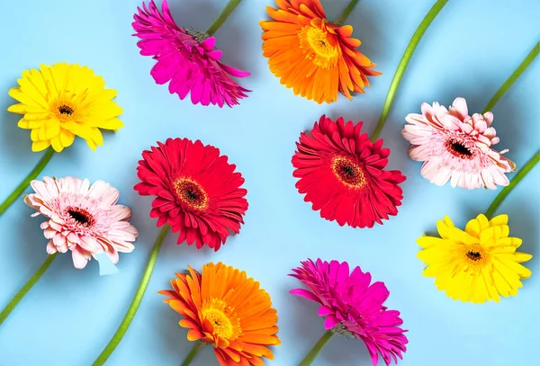 Boeket Gerbera Blauwe Achtergrond Topweergave Flat Lay Vakantie Wenskaart Happy — Stockfoto