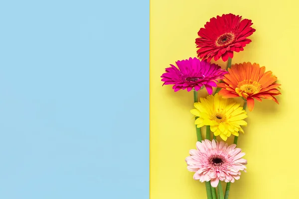 Boeket Gerbera Gele Blauwe Achtergrond Topweergave Flat Lay Vakantie Wenskaart — Stockfoto