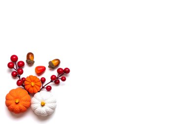 Palamut buketi, böğürtlen, akçaağaç yaprağı, balkabağı beyaz arka planda izole edilmiş..