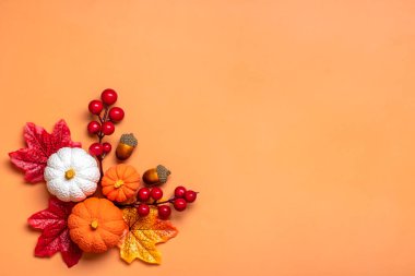 Meşe palamudu buketi, böğürtlen, akçaağaç yaprağı, balkabağı turuncu arka planda izole edilmiş..