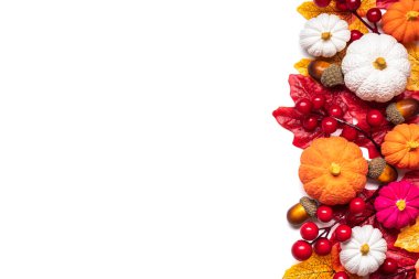 Palamut buketi, böğürtlen, akçaağaç yaprağı, balkabağı beyaz arka planda izole edilmiş..