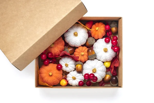 Gift box of acorns, berries, maple leaves, pumpkins isolated on white background Flat lay Top view Autumn present Holiday card Hello September, October, November concept Present for thanksgiving day.
