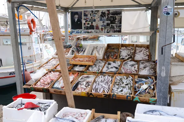 torba balık pazarında