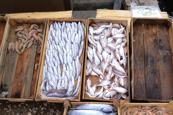 Αγορά ψαριών σε torba — Φωτογραφία Αρχείου