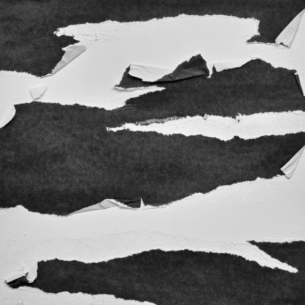 Black White Torn Paper Collage Style Ripped Paper Effect Texture 로열티 프리 스톡 사진