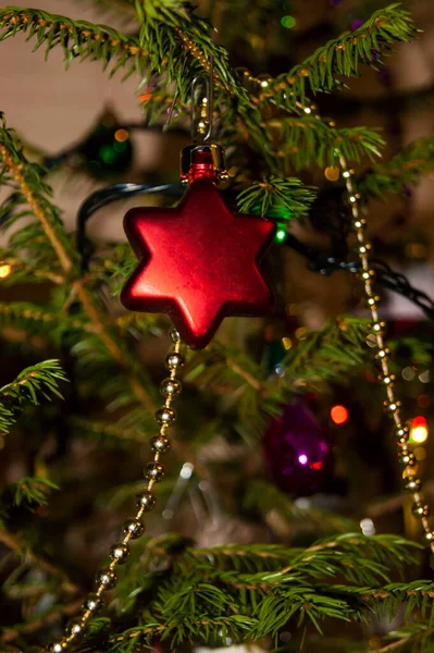 Christmas toys against the background of green branches and lights — Stock Photo, Image