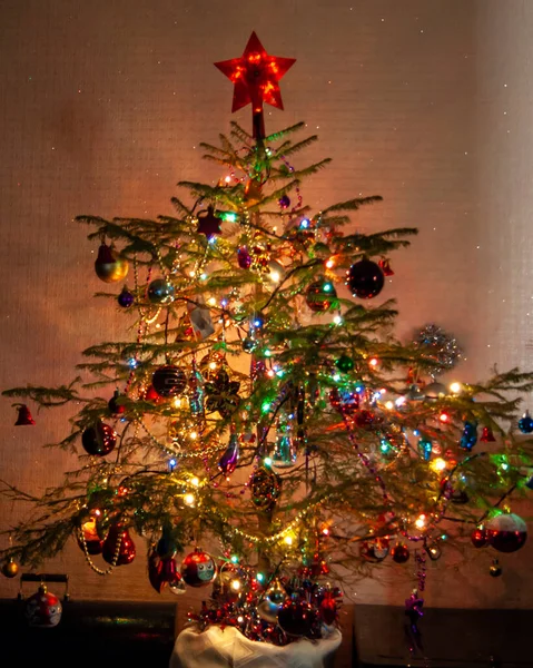 Épicéa Vivant Classique Nouvel Noël Dans Appartement Est Décoré Avec — Photo