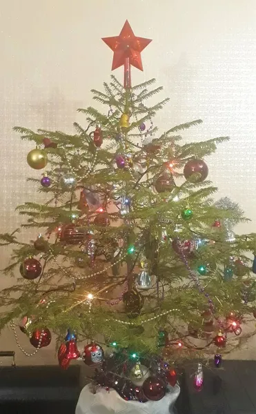 Épicéa Vivant Classique Nouvel Noël Dans Appartement Est Décoré Avec — Photo