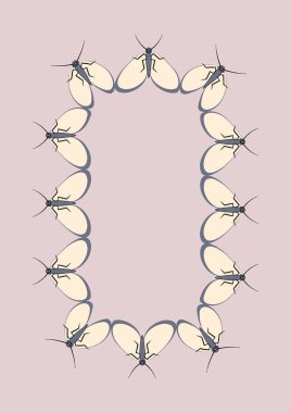 A4 formatında resim - güve çerçeveleri. Kitapların, defterlerin, kartpostalların, iç ürünlerin, mobil uygulamaların tasarımı için tasarım ögesi. Kelebekler, uçuş, hafiflik, böcekler, yaz