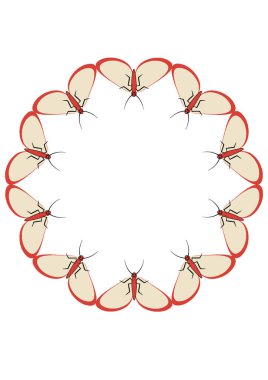 A4 formatında resim - güve çerçeveleri. Kitapların, defterlerin, kartpostalların, iç ürünlerin, mobil uygulamaların tasarımı için tasarım ögesi. Kelebekler, uçuş, hafiflik, böcekler, yaz