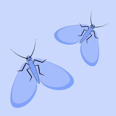 Kusursuz Şablon - Kare arkaplandaki çizim - uçuşan bir çift güve. Sevgililer günü, hediye, tebrikler, aşkım. Tasarım ögeleri - Not defterlerinin, mobil uygulamaların, sitelerin kapaklarının dekorasyonu - Duvar kağıtları, tekstil, paketleme, 