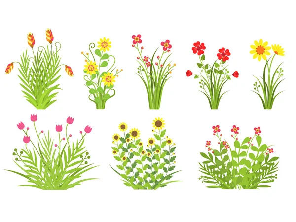 Farbe Blumen Blumen Und Gras Blätter Frühling Konzept Flaches Design — Stockvektor