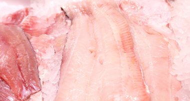 taze somon balıkçılık içinde dilim stand