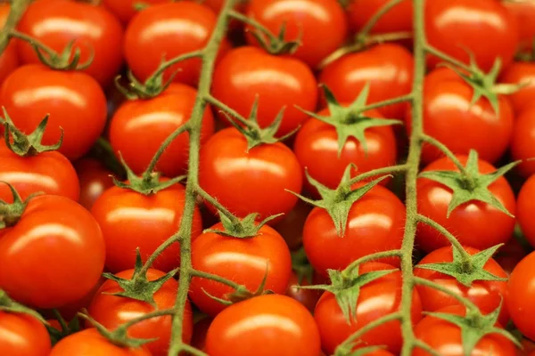 Tomates rojos para ensalada —  Fotos de Stock