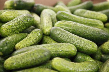 büyük bir süpermarkette salatalık