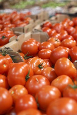 satışında büyük süpermarket olgun domates