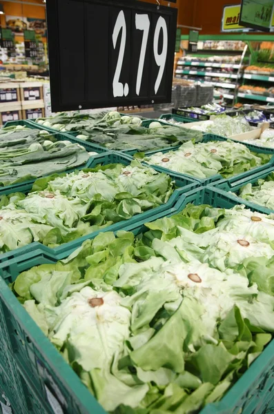 Stand with lettuce in a big supermarket — Stock Photo, Image