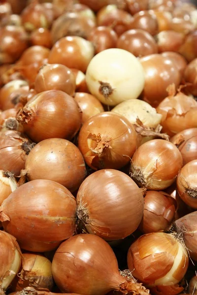 Onions for sale in big supermarket — Stock Photo, Image