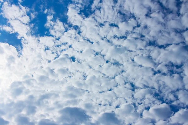 As nuvens em um céu azul — Fotografia de Stock