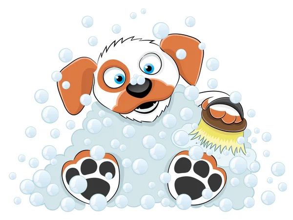 Lavage chien sur blanc . — Image vectorielle