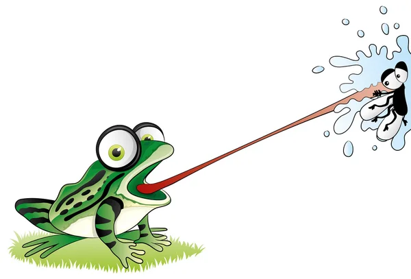 Frog on white background. — Stock Vector