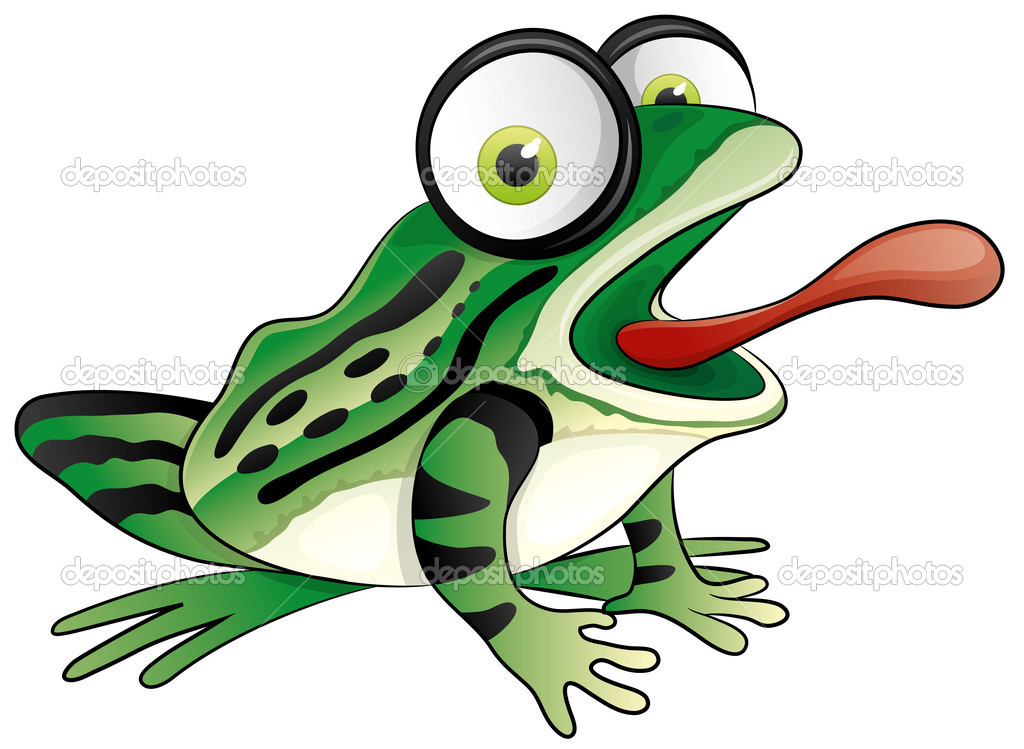 Frog on white background.