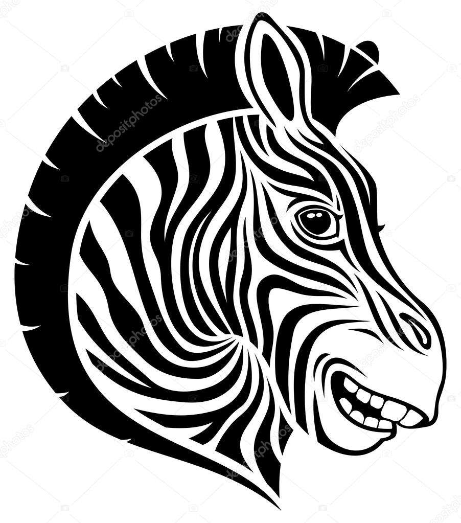Zebra sign on white.