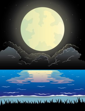 doğa illüstrasyon. gece beach.