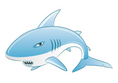 Beyaz Arkaplanda Köpekbalığı.