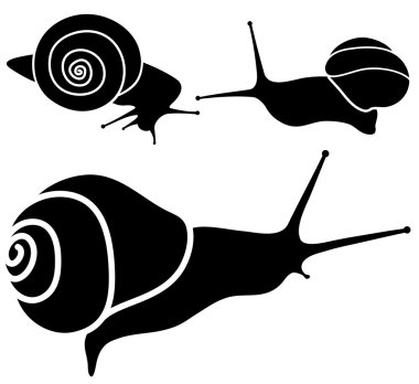 Beyaz arkaplanda salyangozlar.