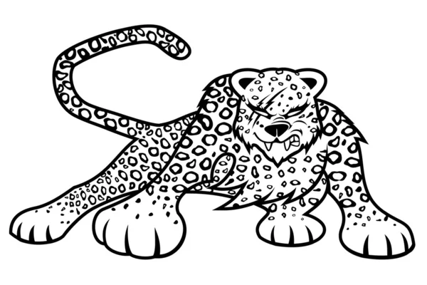 Leopard fehér háttér. — Stock Vector