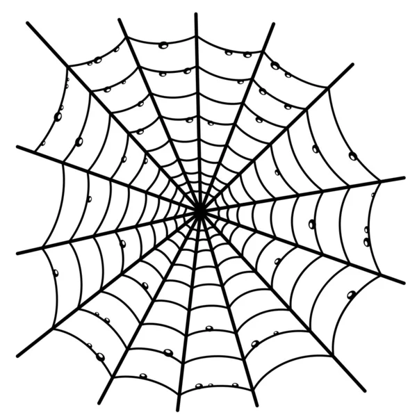 Cobweb on white background. — Stock Vector