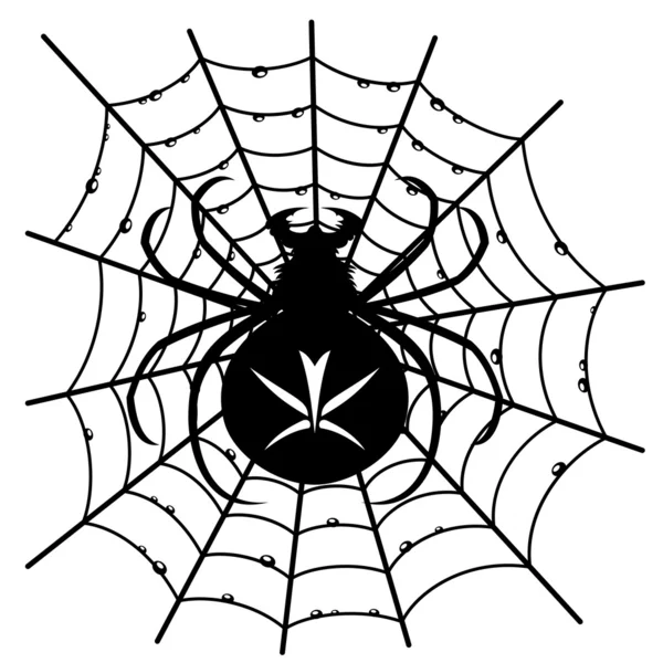 Araña negra sobre fondo blanco . — Vector de stock