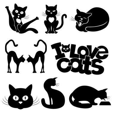 kedi beyaz arka plan üzerinde işaretler.