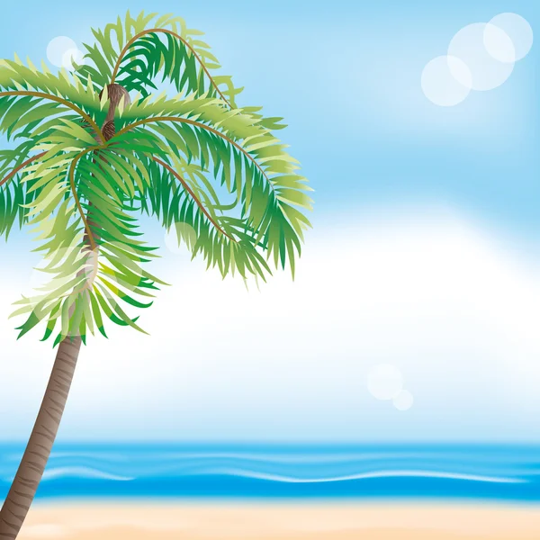 夏天的插图。热带海滩 — 图库矢量图片