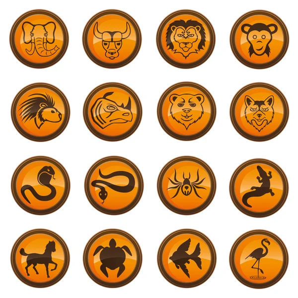 Iconos de animales sobre fondo blanco . — Vector de stock