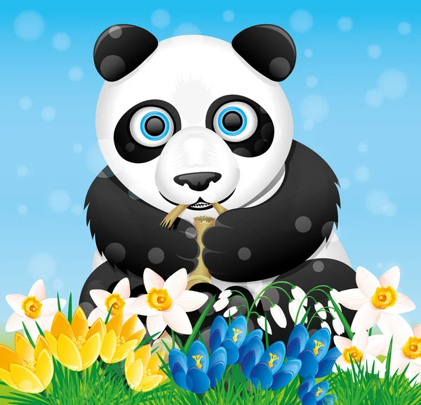 Panda en bloemen. — Stockvector